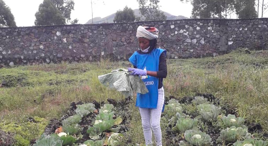 Tegen de pandemie: voedsel en maskers uitgedeeld aan de armste ouderen in Kivu (Democratische Republiek Congo)